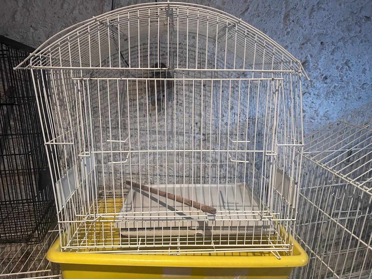 Gaiolas para calopsitas  