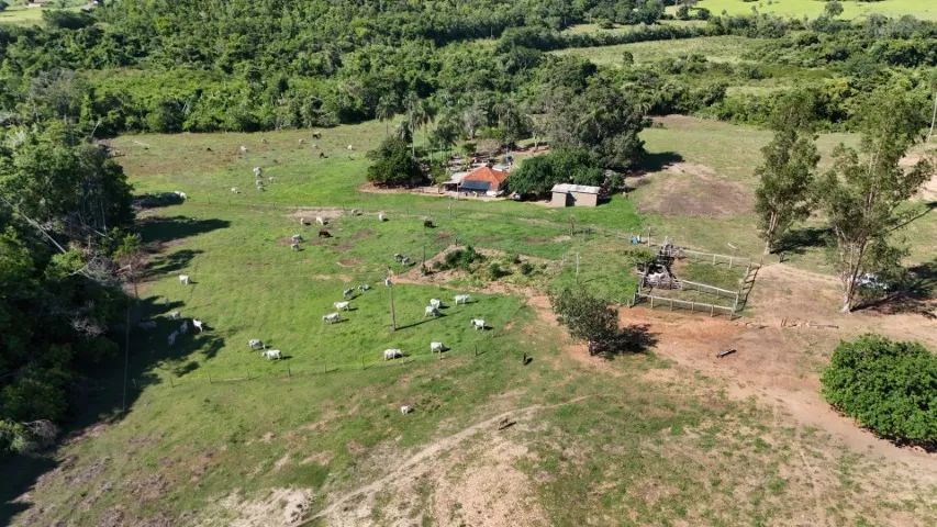 Chácara 32 hectares em Jaraguari com córrego! - Foto 3