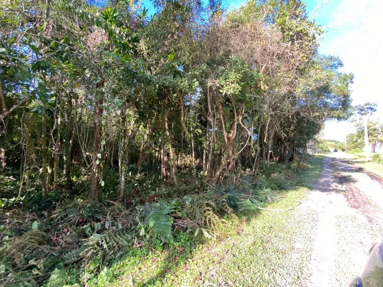 Vendo ou troco terreno em Itanhaém para chácara com 6.990mt2 - Foto 4