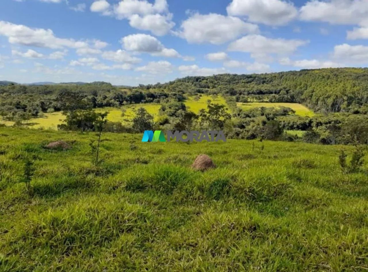 FAZENDA À VENDA - 78 HECTARES - CLÁUDIO (MG) - Foto 2