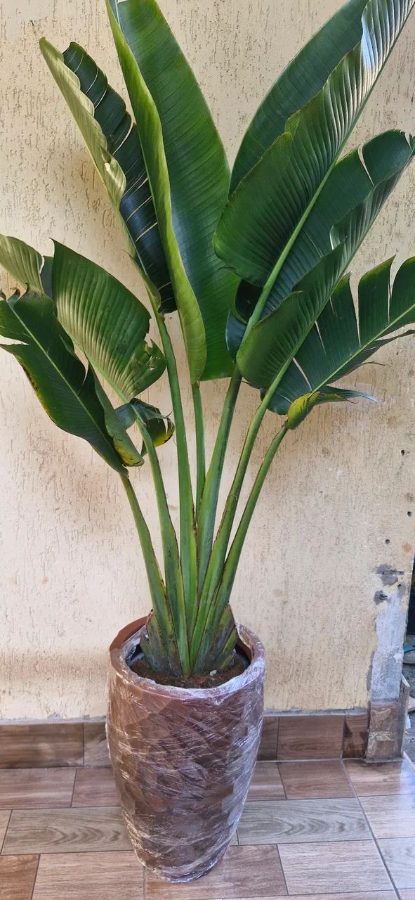 Para sua casa - Foto 3