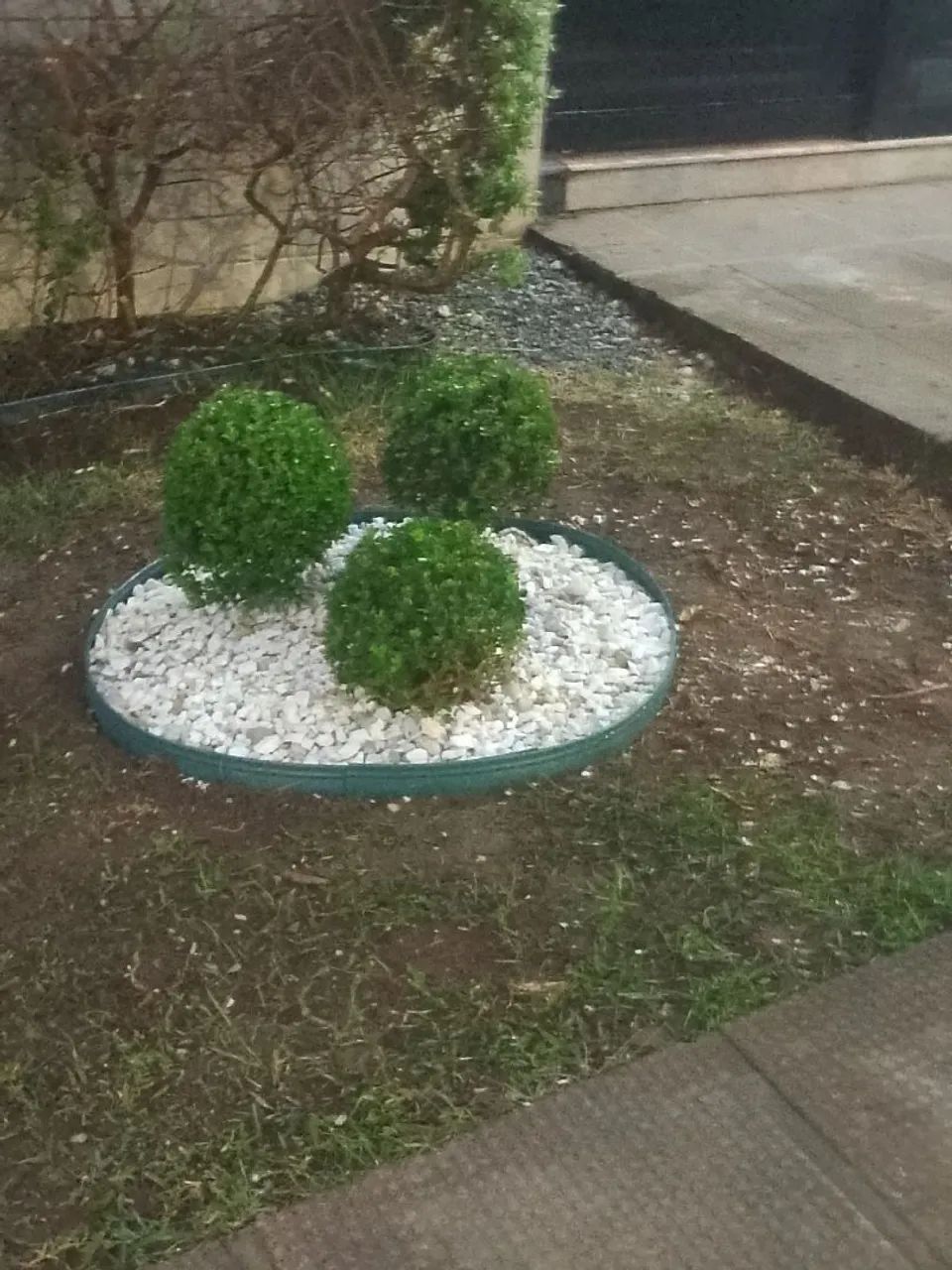 Manutenção de Jardim em geral completa  - Foto 3