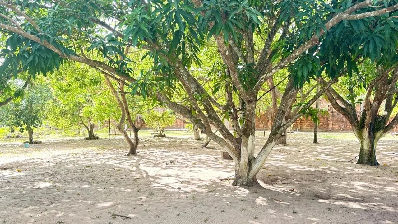 Vende-se sítio em Itapecuru Mirim, 2.900m2 - Foto 3