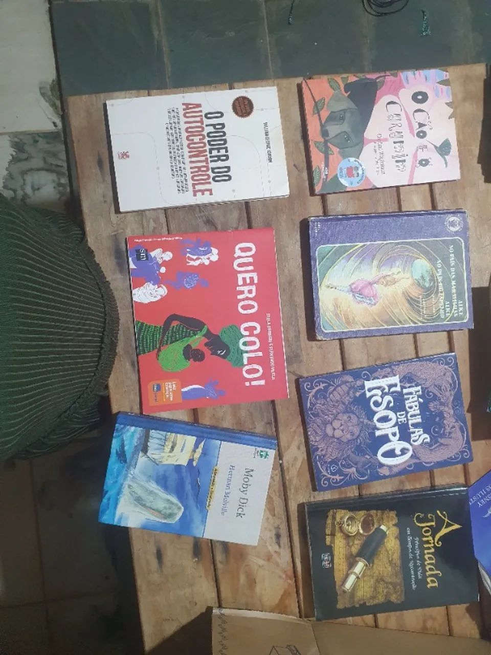 Livro Mobydick  entre outros. 