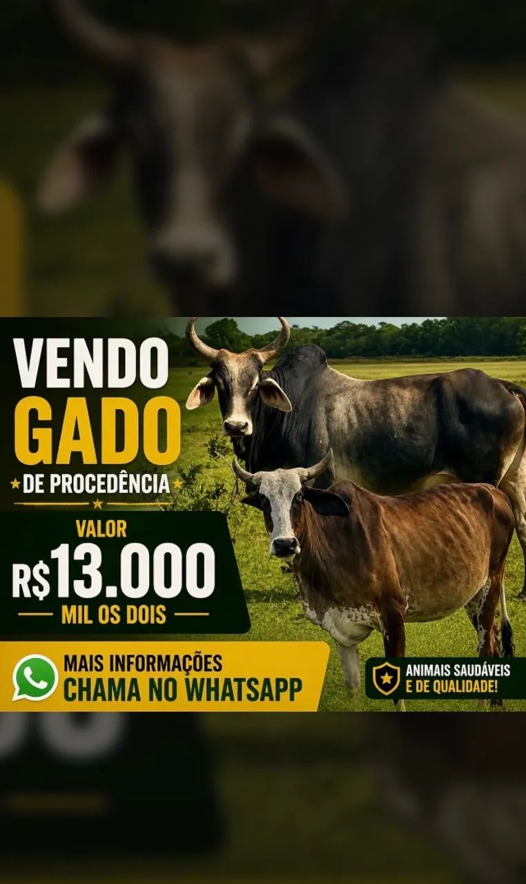 Gado