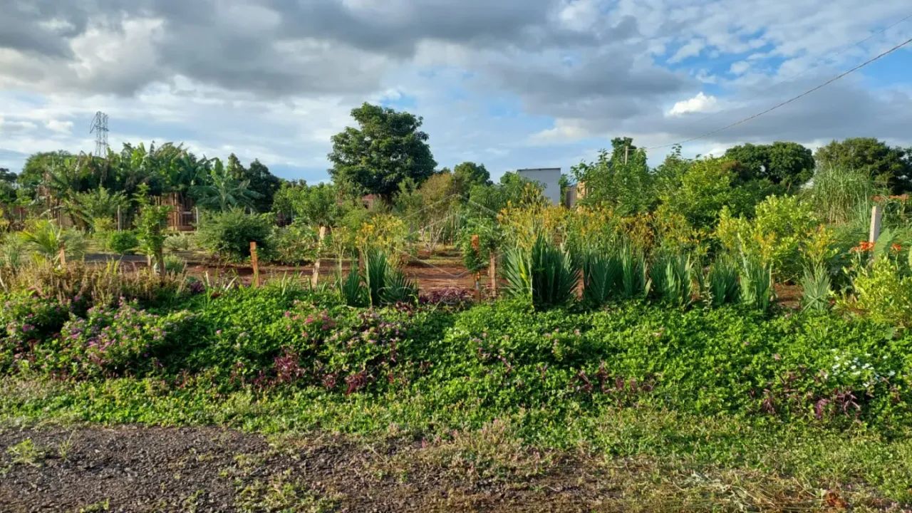 Rural ChácaraFazenda em Pederneiras - Foto 5