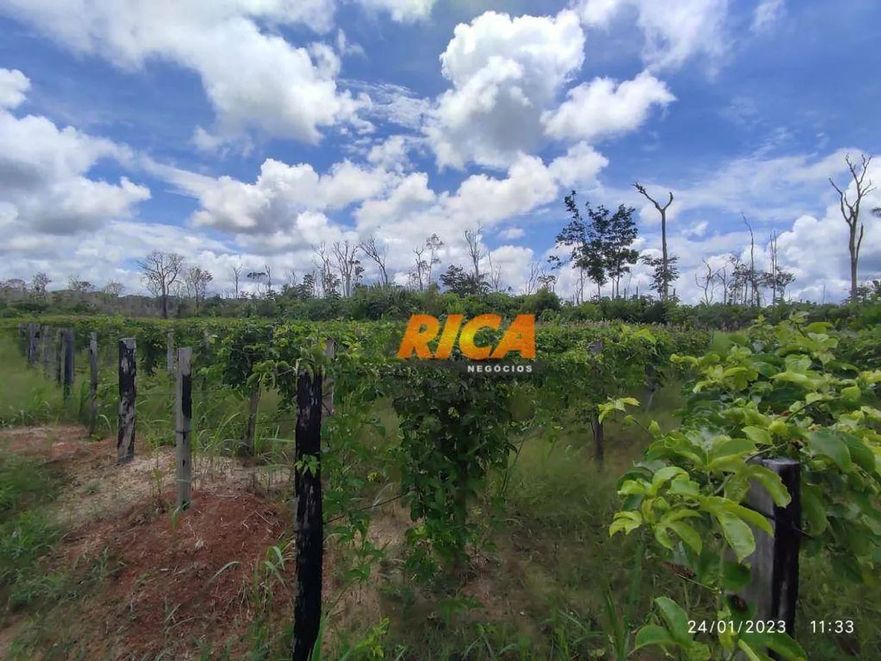 Vende-se sítio com 57 hectares na área rural de Humaitá/AM - Foto 3