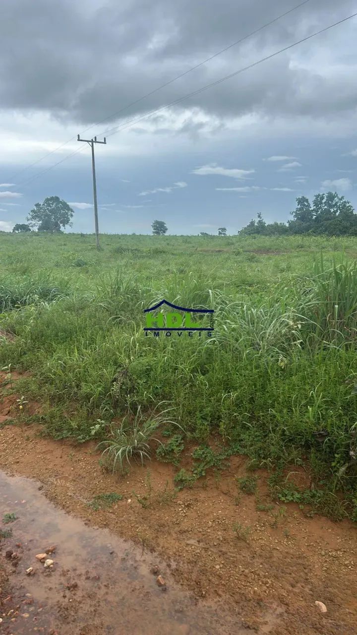 Fazenda Dupla aptidão a 40 km de Alvorada/TO