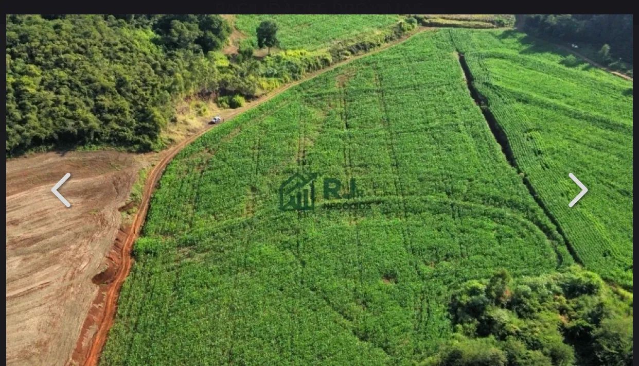 Sitio a venda em Borrazopolis pr - Foto 3