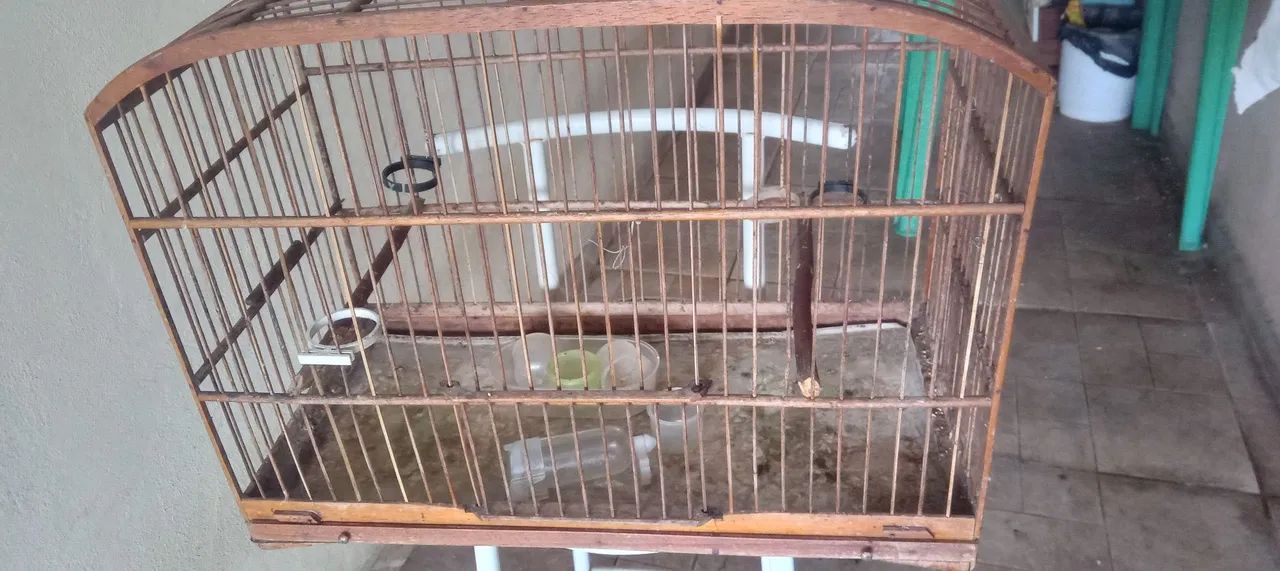 Gaiola  - Foto 2