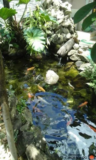 ÓTIMA RESIDÊNCIA - BASTANTE ESPAÇO - Foto 5