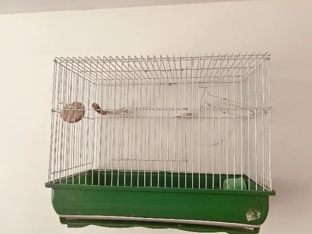Gaiola periquito nova - Foto 2