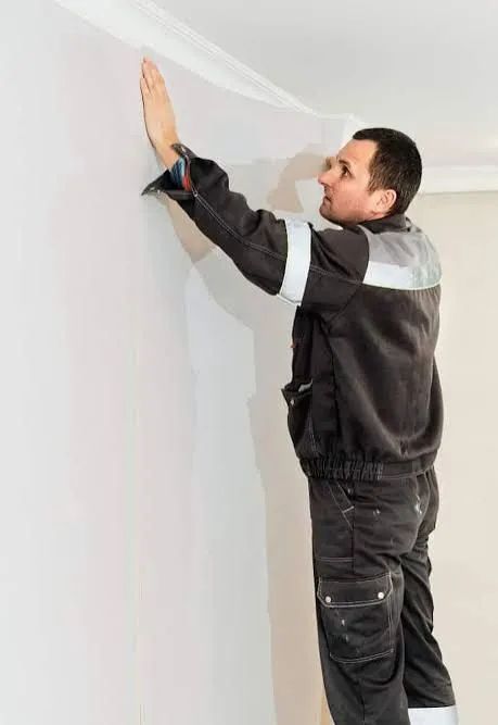 Instalador de papel de parede 