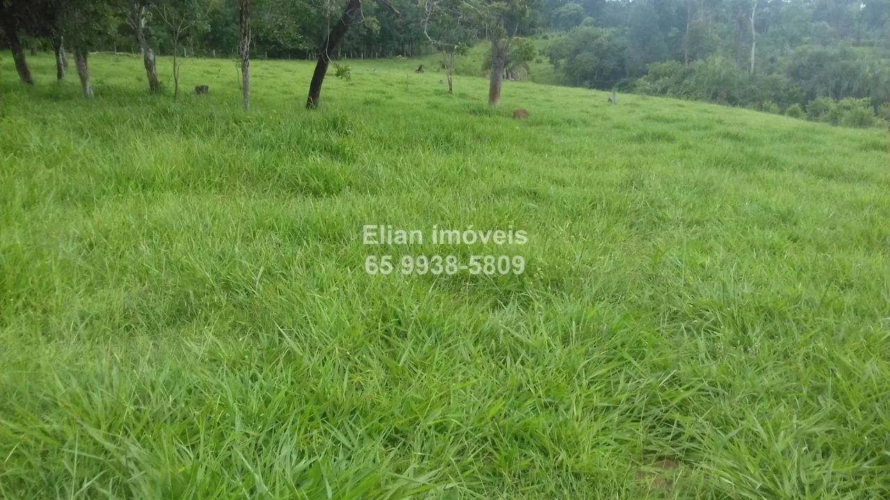 Oportunidade! Chácara de 52,6 Hectares à Venda - Foto 4