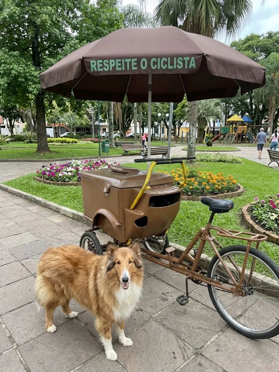 Triciclo com baú termico ( raridade ) - Foto 2