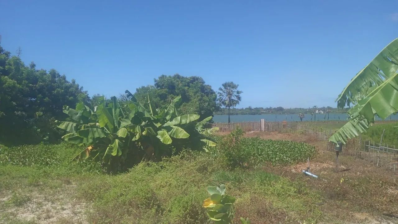 Venda ou aluguel de terreno - Foto 3