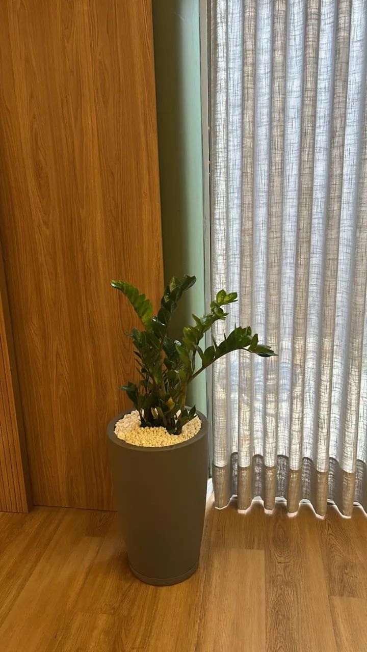 Jardinagem em geral - Foto 4