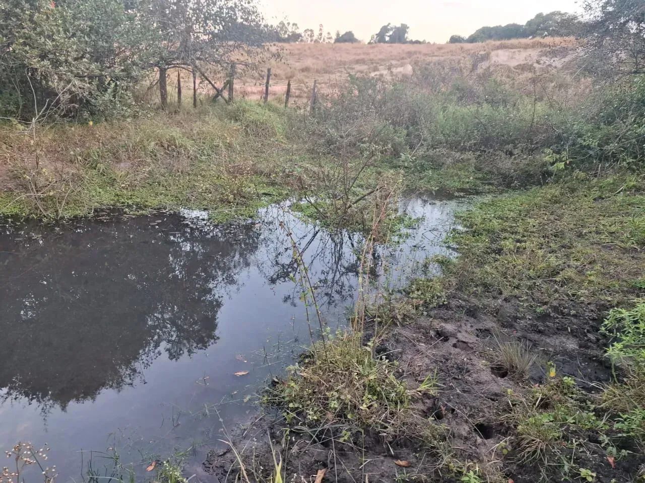 Sítio ,área útil muito boa - Foto 4