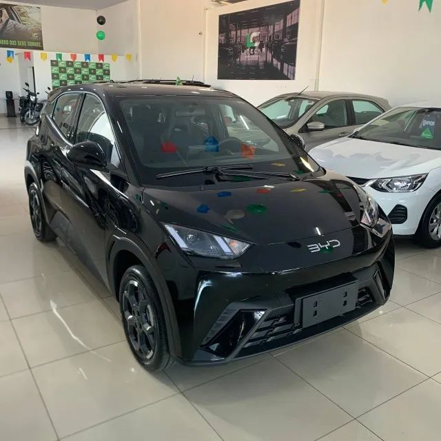 BYD Dolphin Mini (Elétrico) 2027 - Foto 2