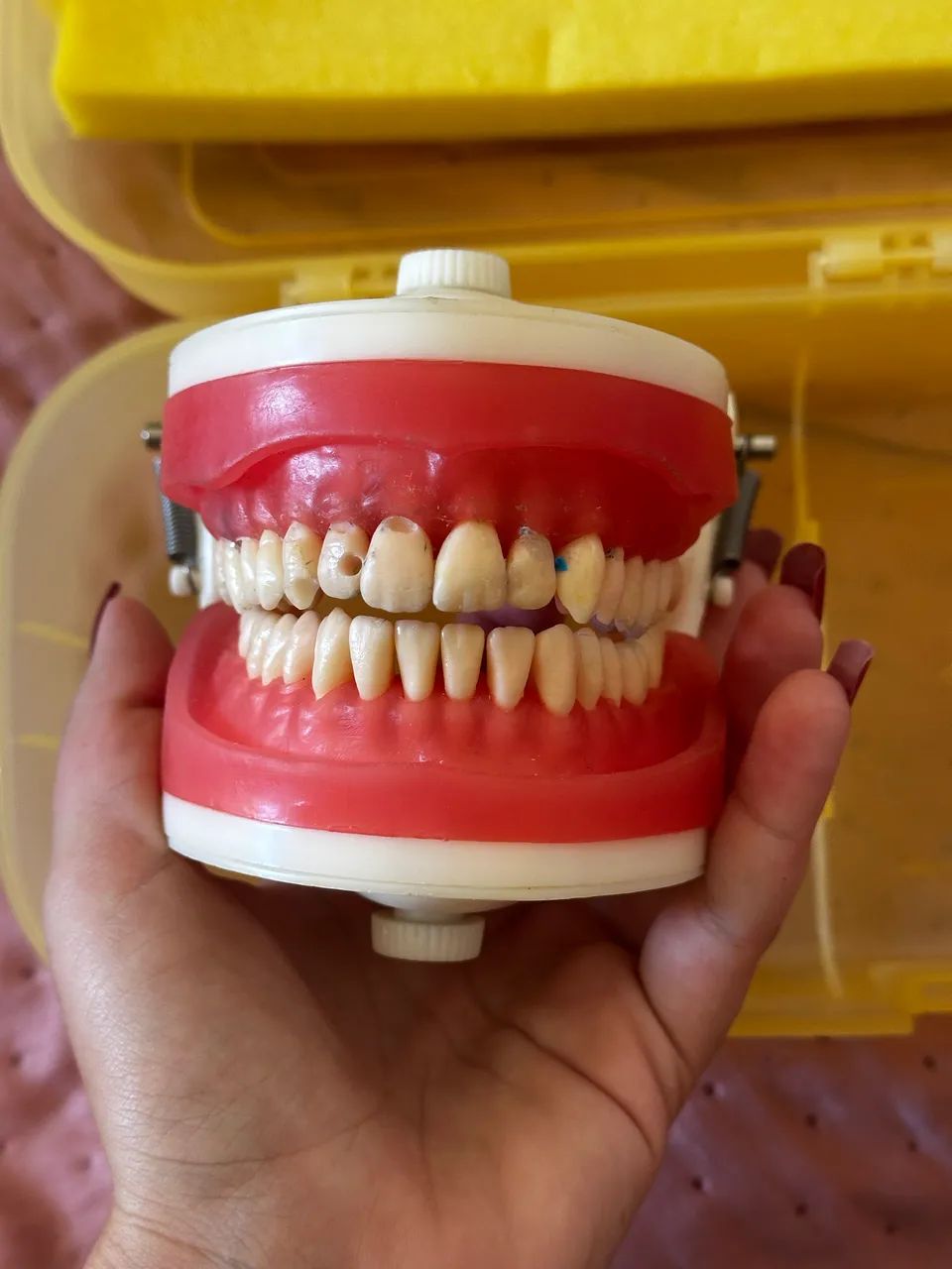 Manequim Top Dentística Pd100 