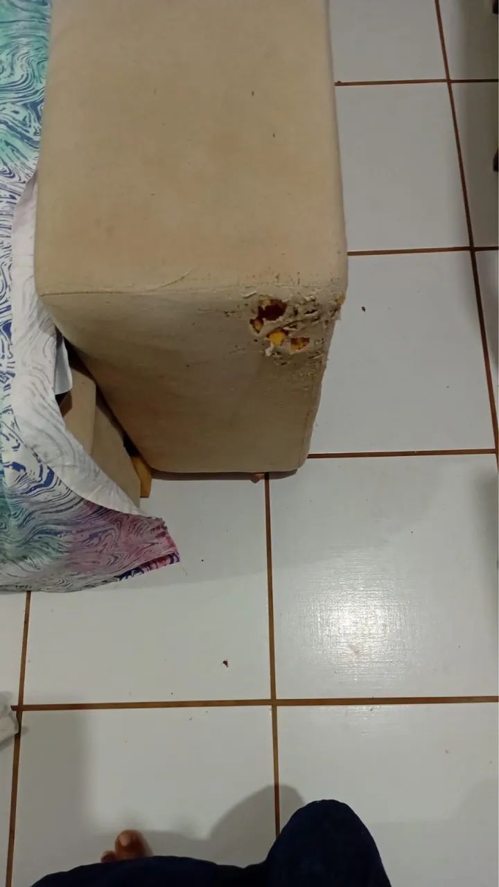 Sofá Retrátil - Foto 4