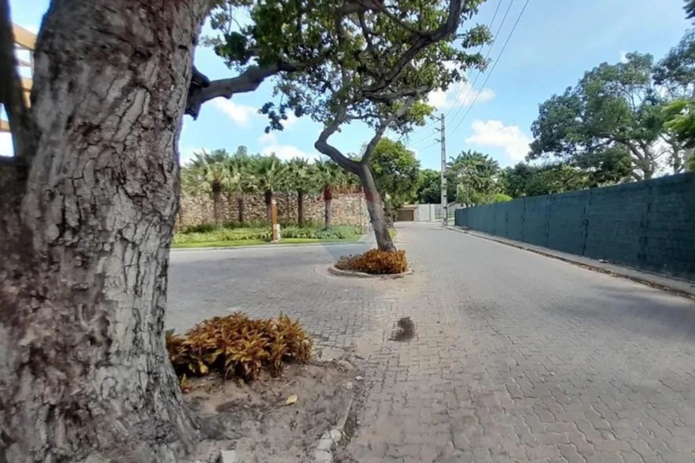 Botânico Terra Brasilis - Foto 4