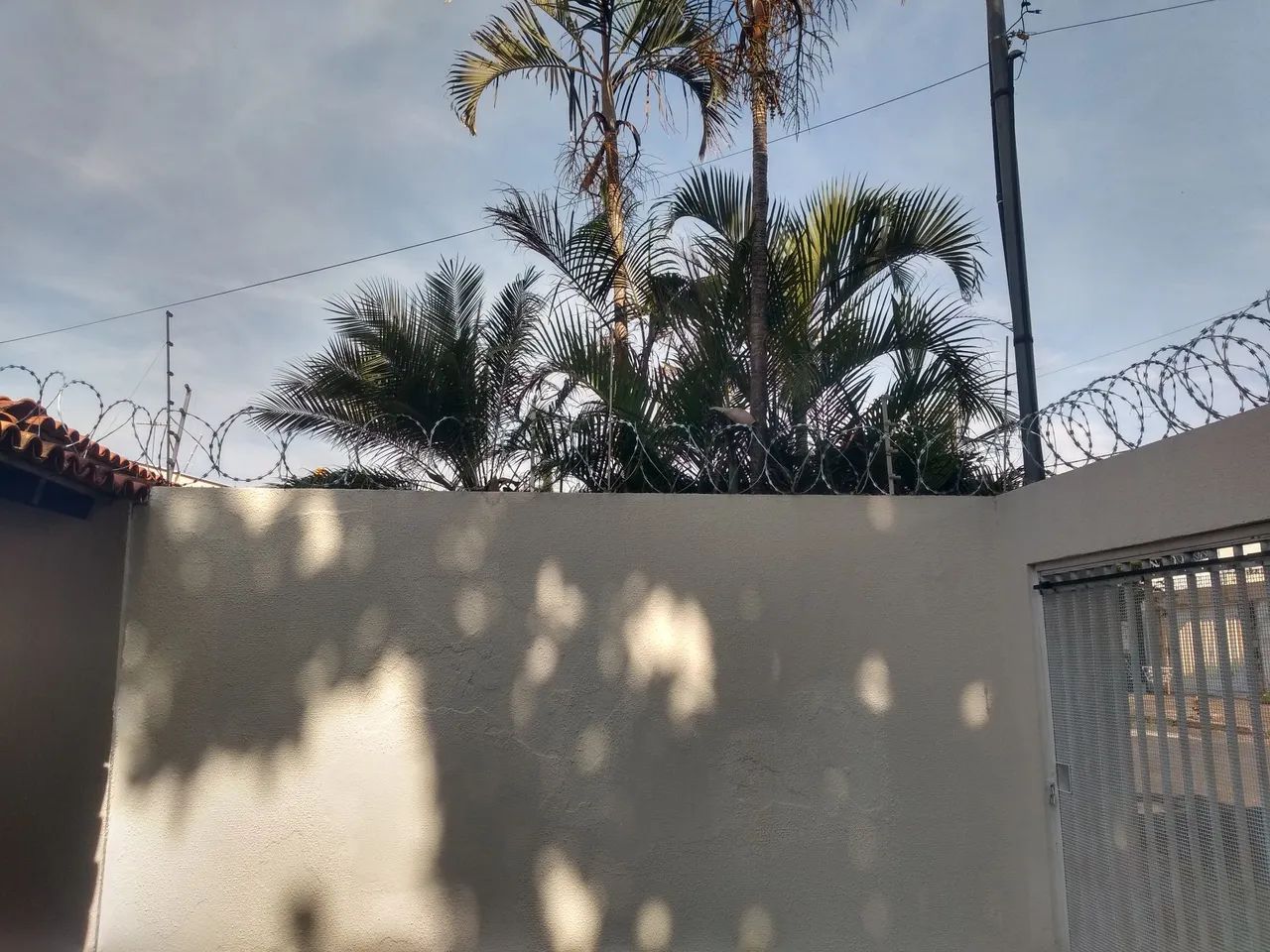 Portão eletrônico e concertina cerca elétrica  - Foto 3