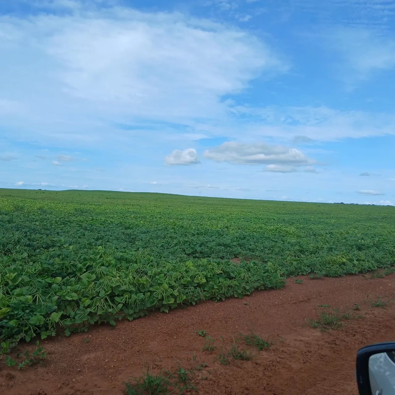 Foto - Goiânia - Setor Leste Vila Nova