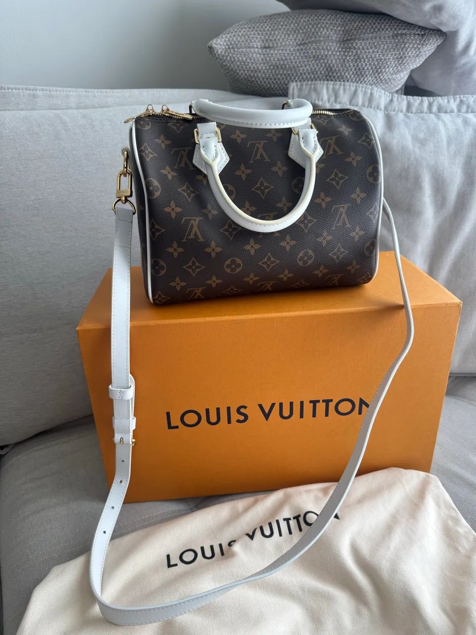 Bolsa speedy Louis Vuitton 
