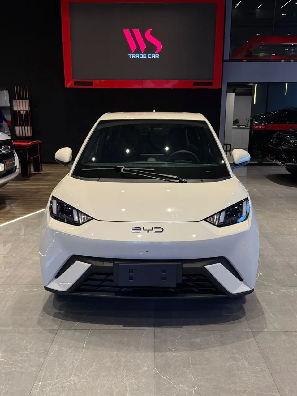 BYD Dolphin Mini (Elétrico) 2027 - Foto 2