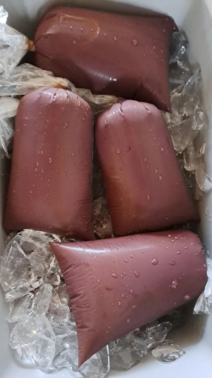 Aproveita pra tomar acai paraense hoje no litro e manter a saúde em dias  - Foto 5