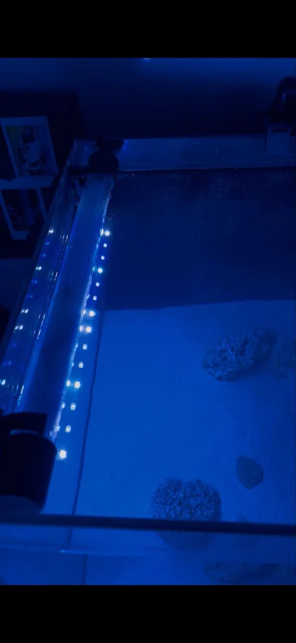Luminária aquário  - Foto 2