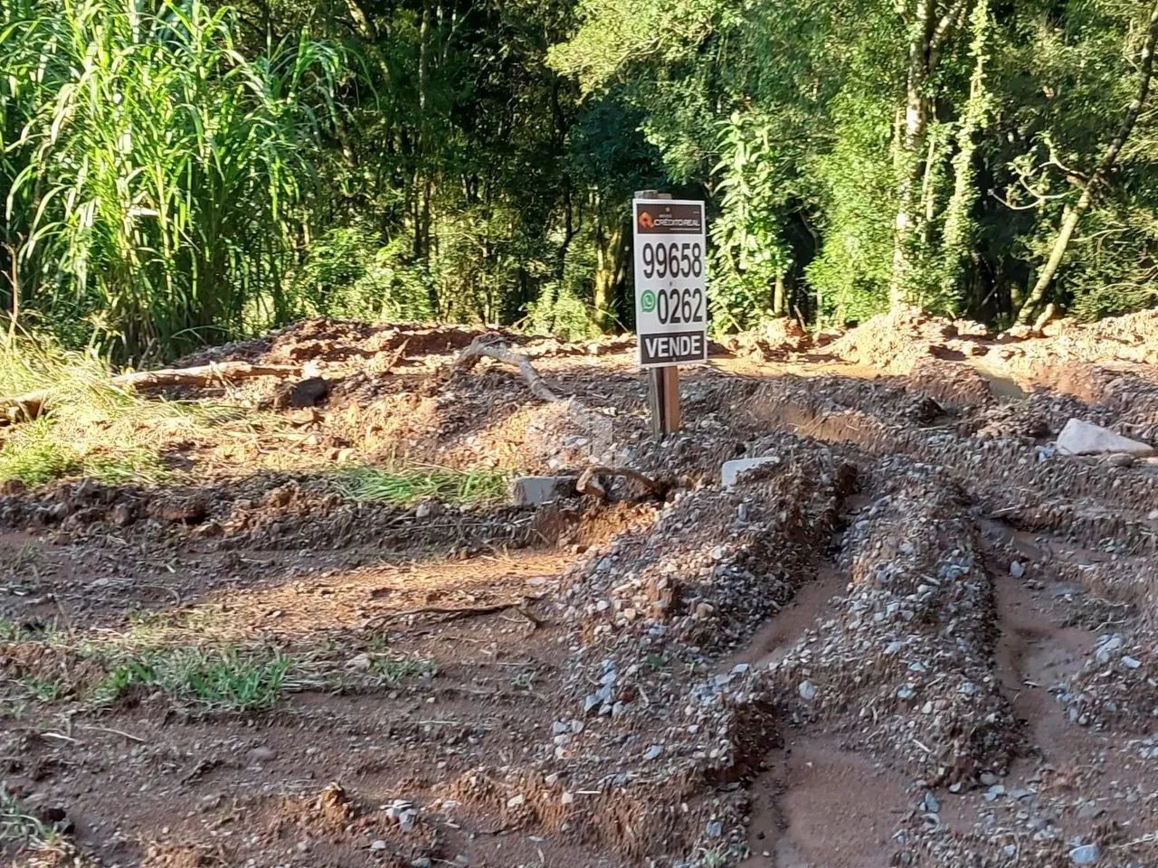 Área de terra de 02 hás agricultável - Foto 11