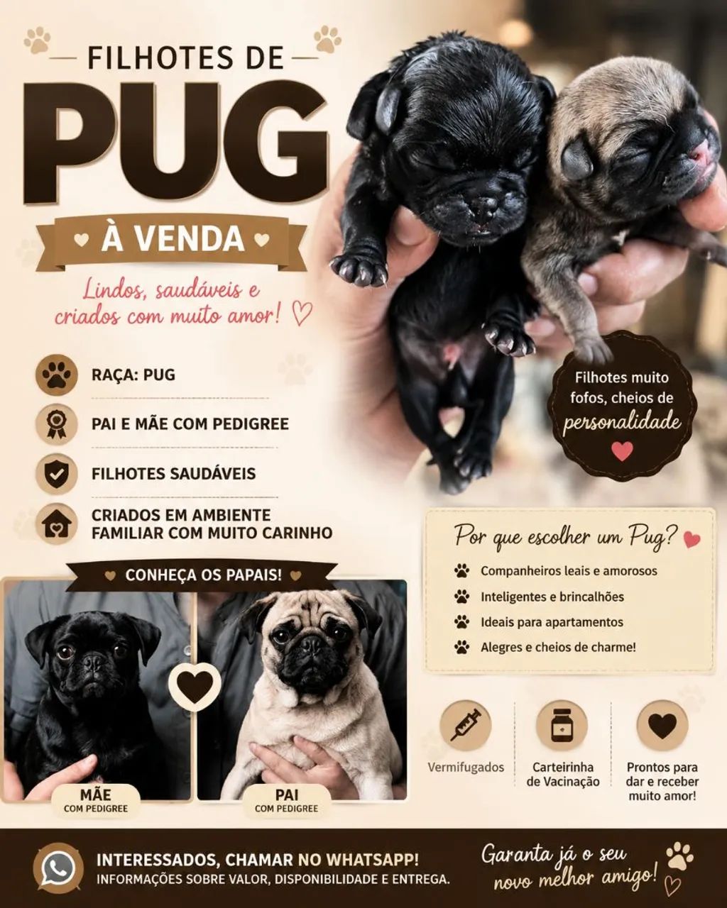 Pug