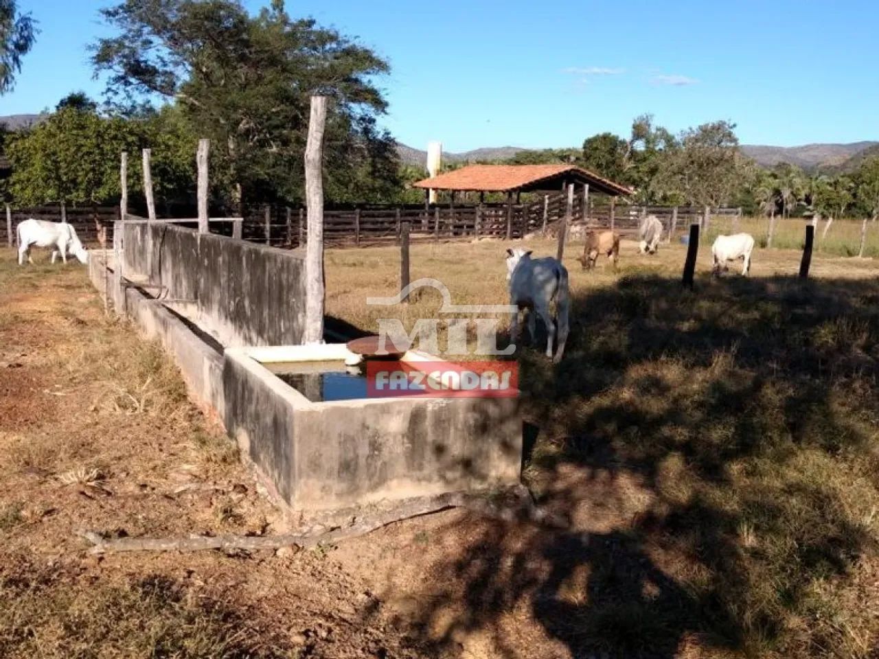 Fazenda 440 Alqueires (2.129 Hectares) Natividade - TO - Foto 4