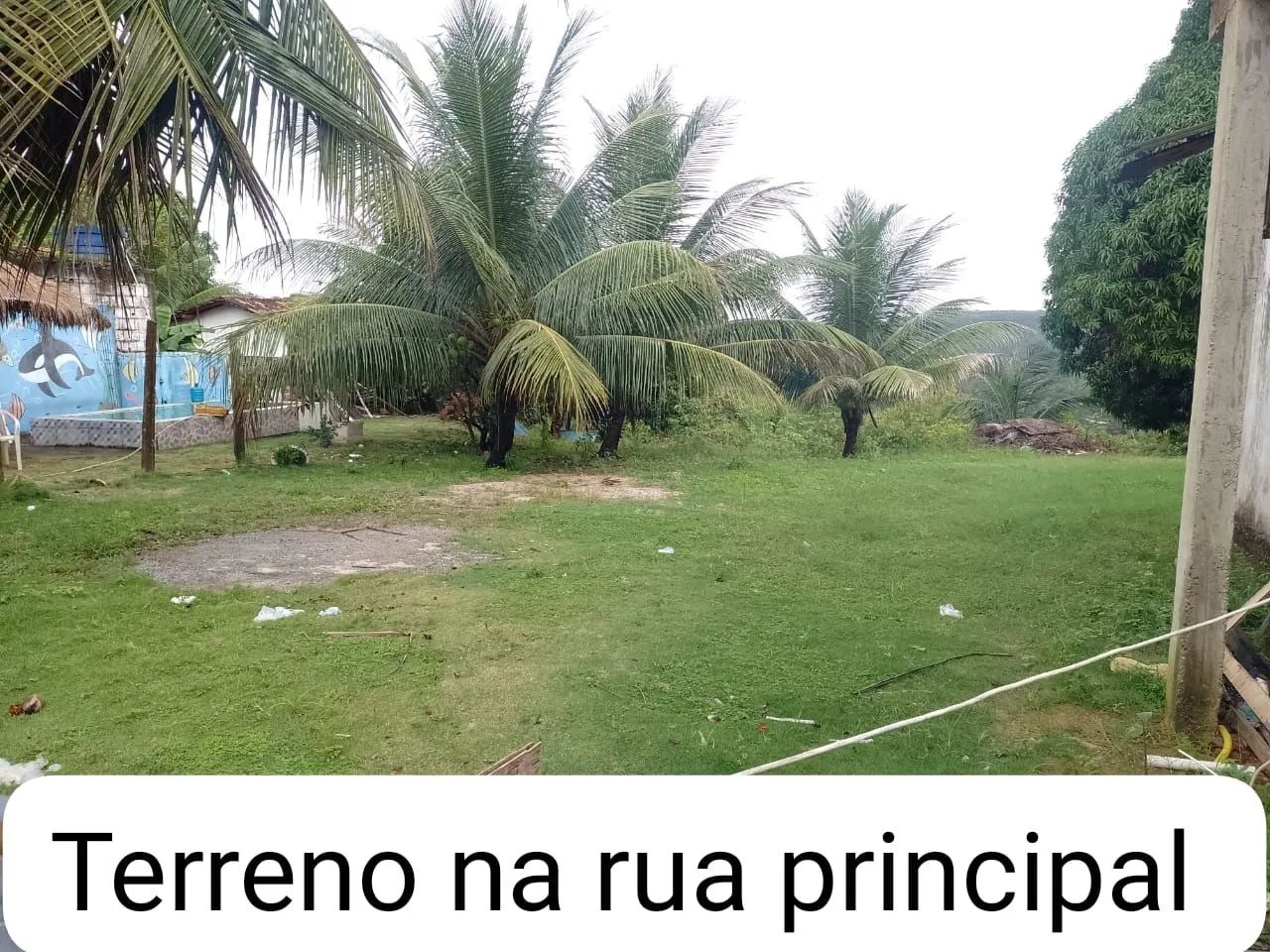 Foto - Ilha de Itamaracá - 