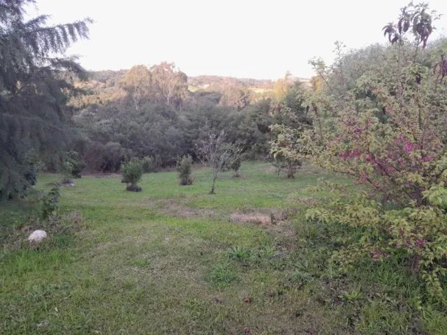 Chácara Contenda - Foto 4