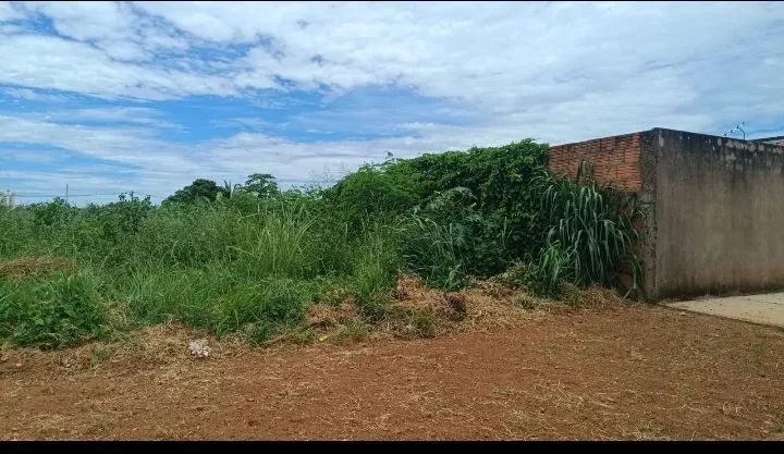 TERRENO PAMPULHA ,BARATO  - Foto 5