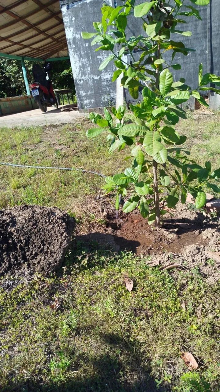 Vendo chácara barata - Foto 2