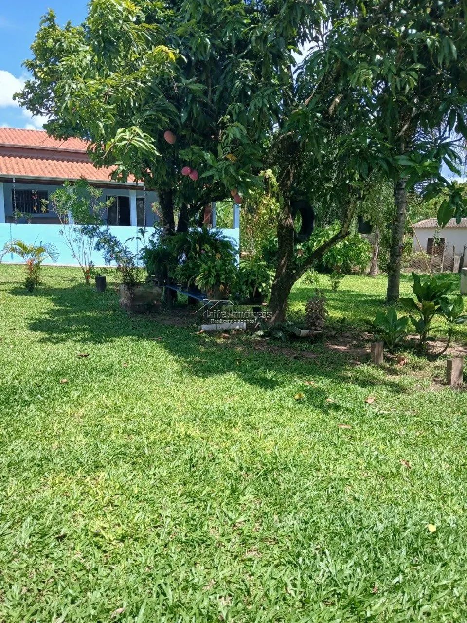 CHACARA A VENDA EM MONTE MOR SP - Foto 5