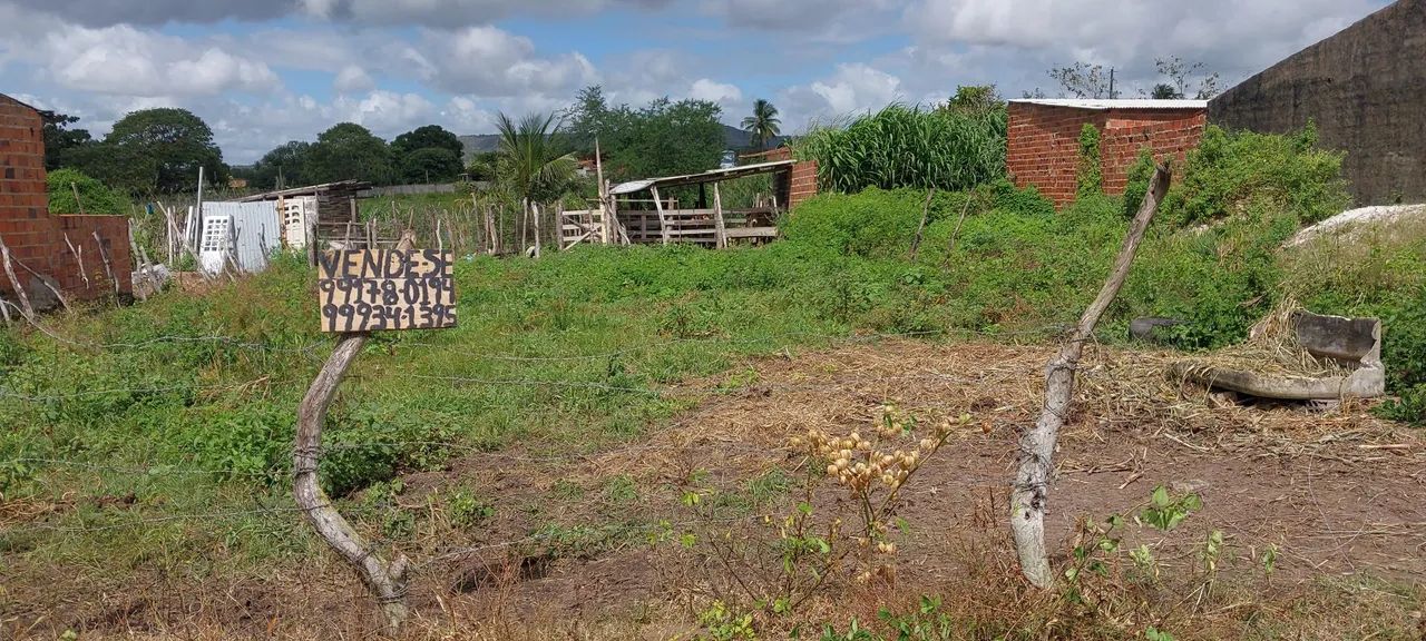 Vendo esse Terreno 7×25 em Campo do Brito.  - Foto 4