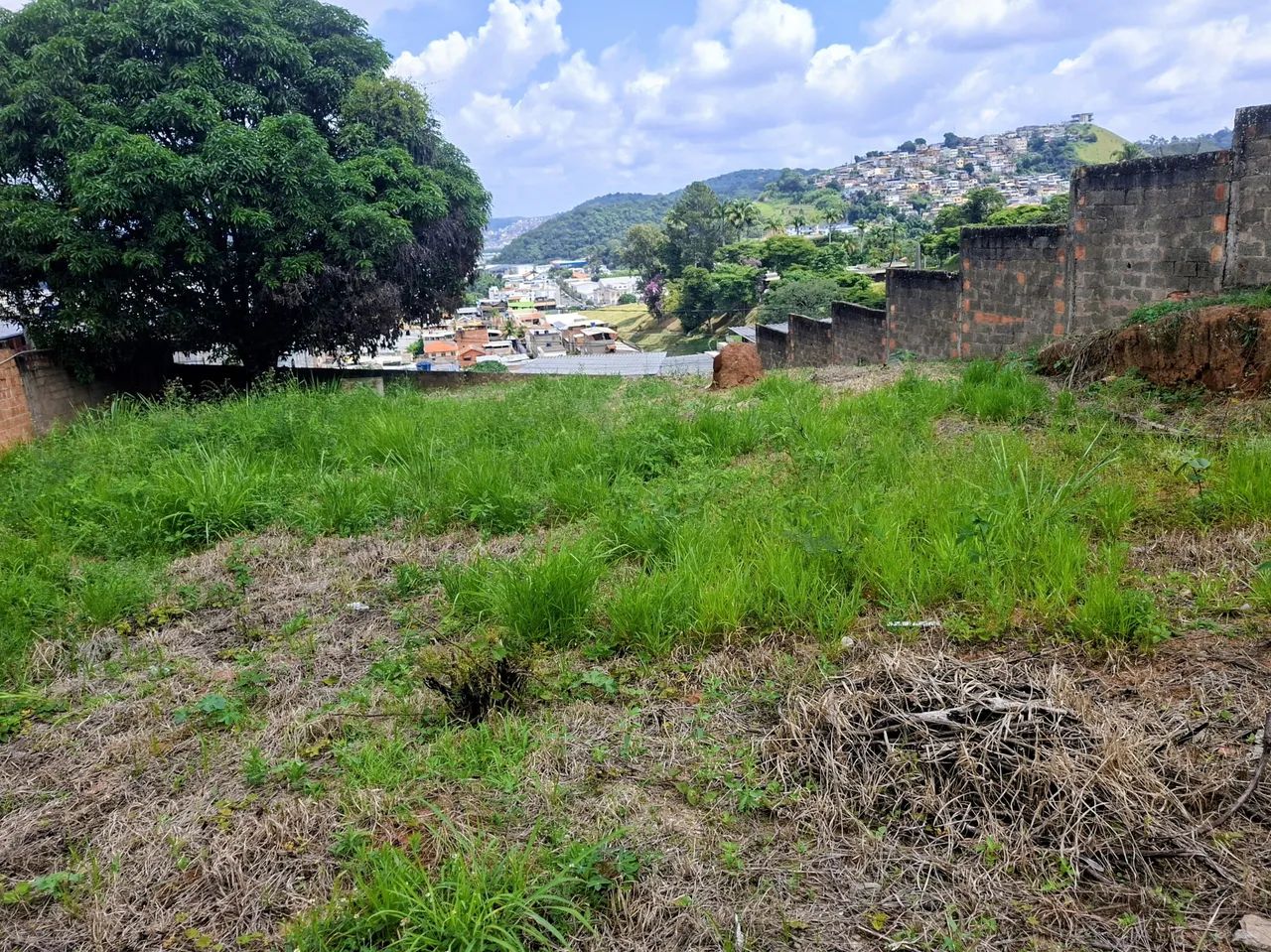 Lote de 680 m2 no Centenário - Foto 5