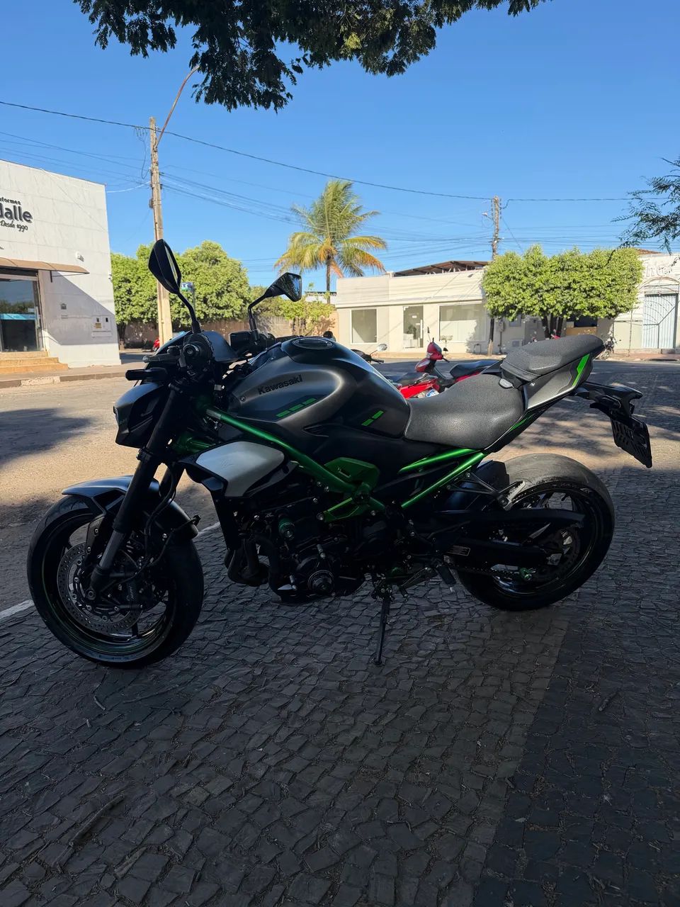 Z900 2025/26 - Foto 2