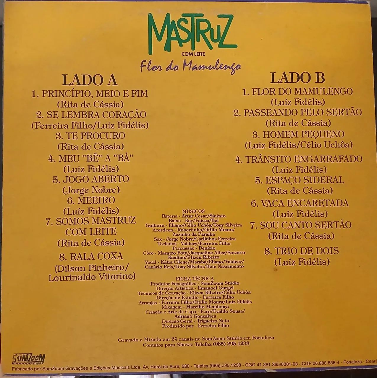 LP Vinil Forró Mastruz Com Leite - Foto 2