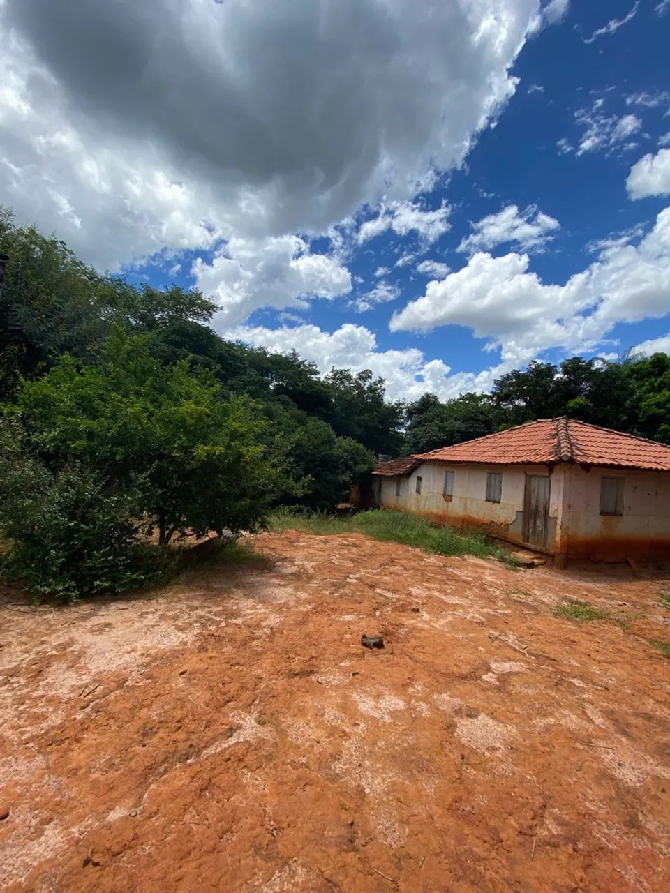 Terreno de 2,5 hectares com água e luz ? 