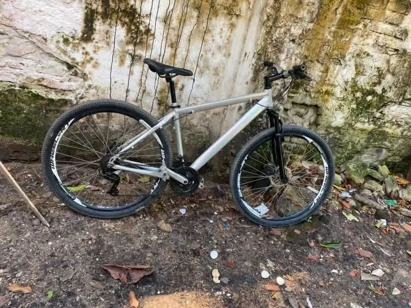Bicicleta nova em folha 