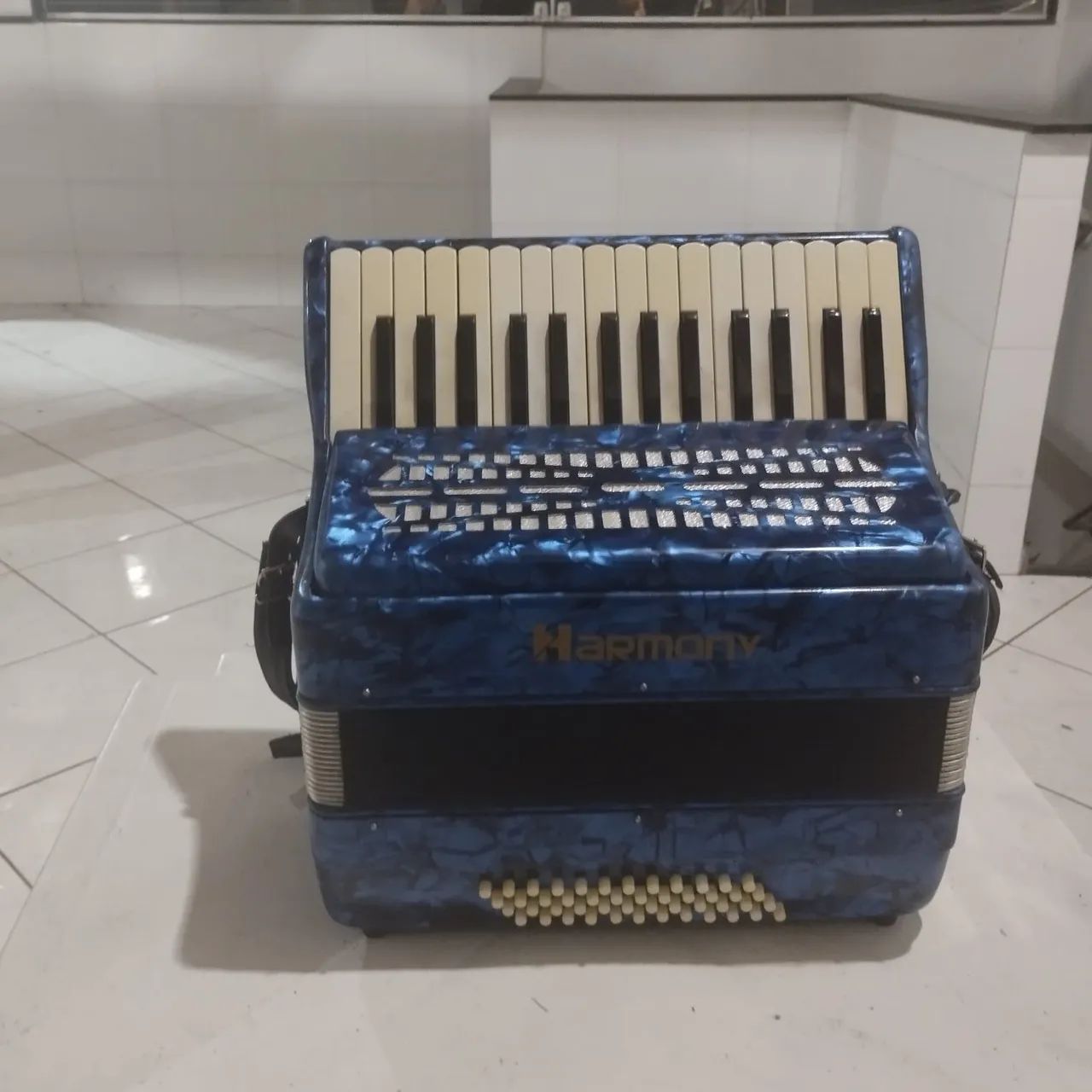 sanfona - Foto 2