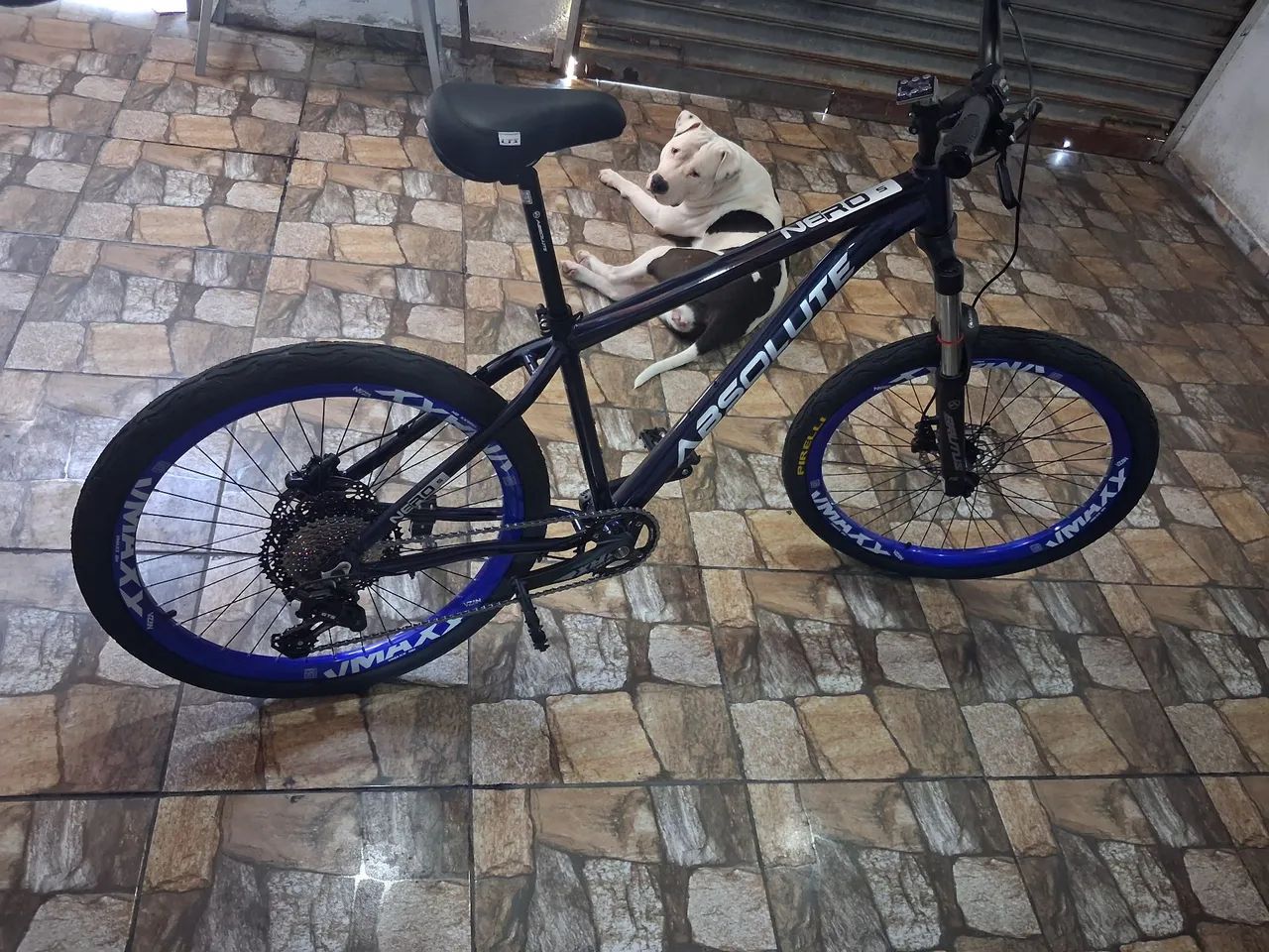 Bicicleta absolut  - Foto 2