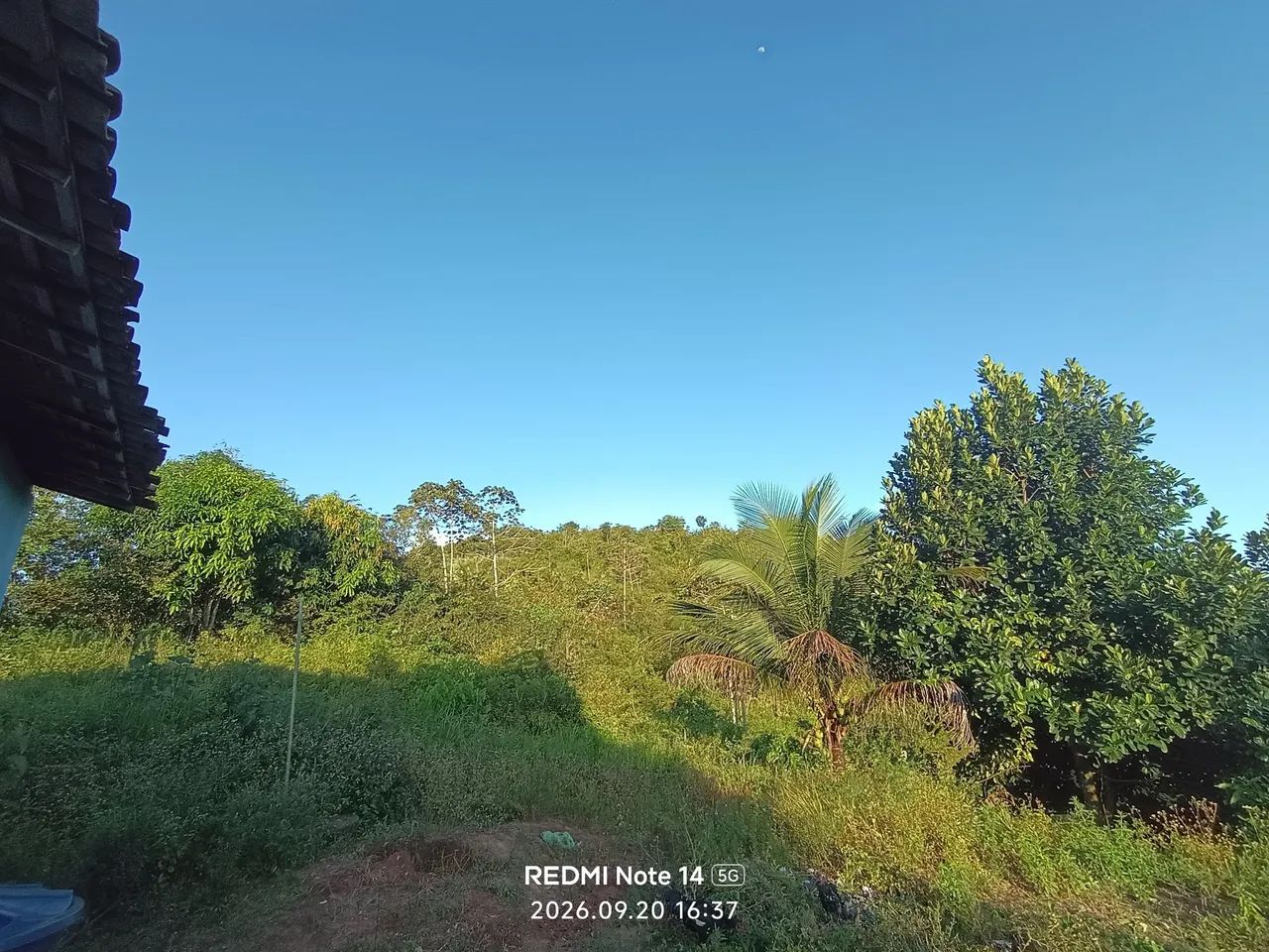 Sítio com a casa a venda - Foto 3