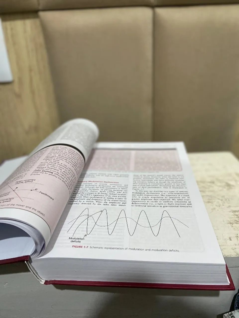 livro sensory integration - Foto 4